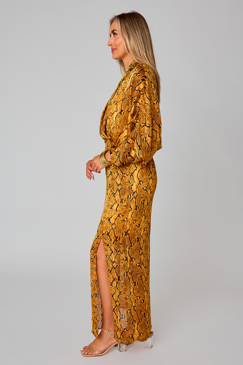 BuddyLove Jude Long Sleeve Maxi Dress - Snake Charmer
